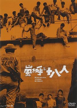 风暴时代(大结局)