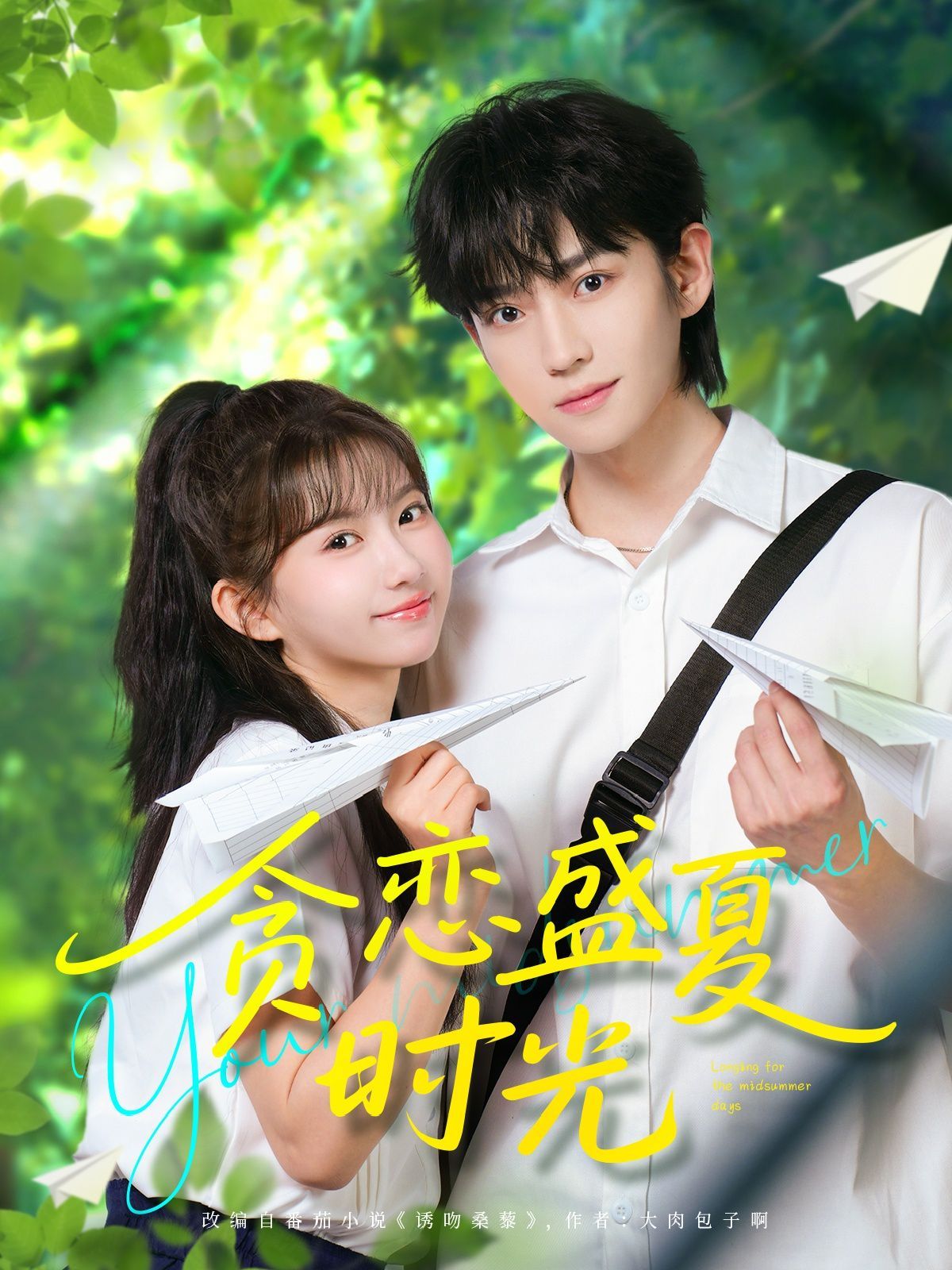 贪恋盛夏时光第31-60集