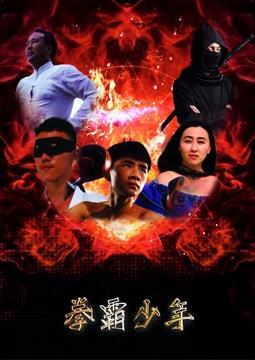 拳霸少年(全集)