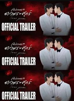 维纳斯的新郎(全集)